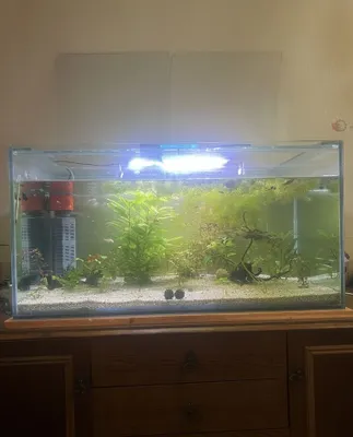 250 litrli akvarium 1