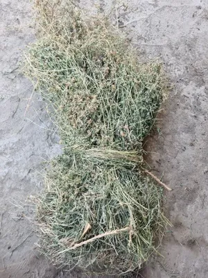 Продаётся люцерна в тюках 1