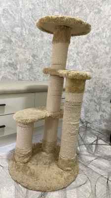 Домик когтеточка для кошек 1