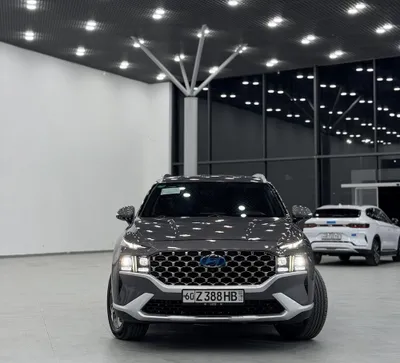 Hyundai Santa Fe, пропан 1