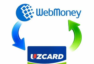 Профессонал маслахатлар WMZ, Консультация по вмз