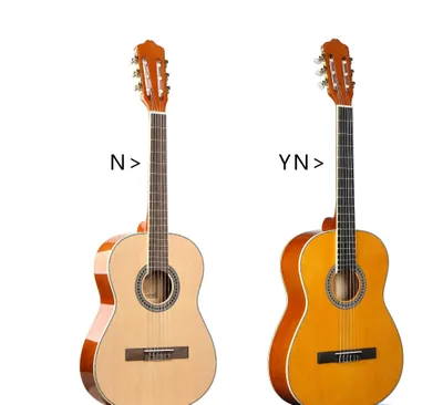Klassik gitara 39