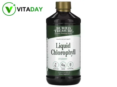 Buried Treasure Liquid Chlorophyll — yalpizli suyuq xlorofill, 480 ml 1