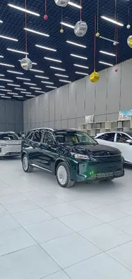 Dongfeng Landian E5 Plus, запас хода 230 км, 7 мест 1