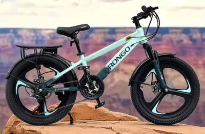 Drongo