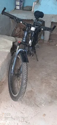 velsaped sotiladi 26 sirochna 1