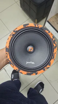 Dl Audio Barracuda 1