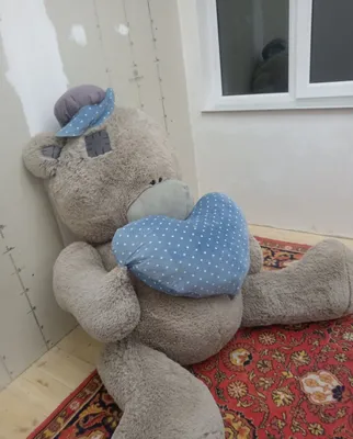 Теддий большой айикча 1