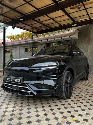 BYD Champion (2023–2025) uchun obves (body kit), spoyler 1