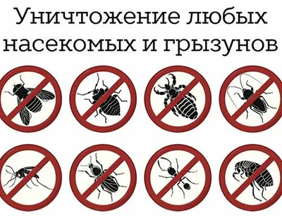 Дезинфекция от всех насекомых официально гарантия 1 год