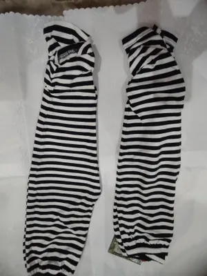 lasina 1