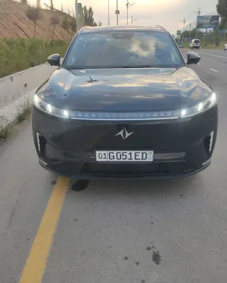 Сухой аренда Дон Фен гибрид 1