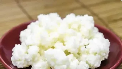Sutli (Tibet yoki kefir) qo‘ziqorini