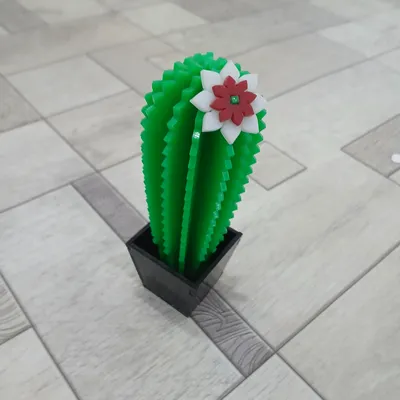 2 разных 3D-кактуса из акрила, состояние новое 1