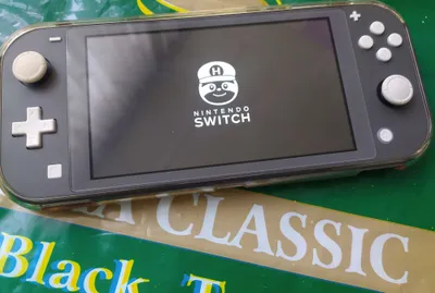 Nintendo Switch Lite с прошивкой, память 32 ГБ + 256 ГБ 1