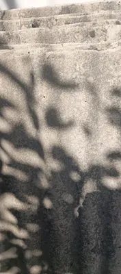 A’lo holatdagi ishlatilgan shifer sotiladi, arzon 1