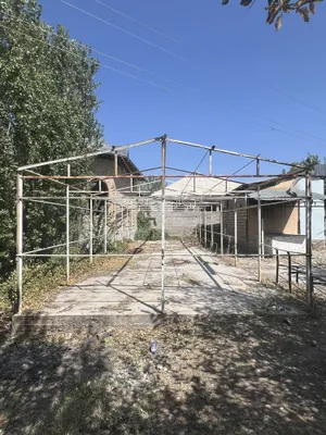 Готовая арка для винограда 1