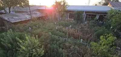 Продам свой Дом Куктерак 1