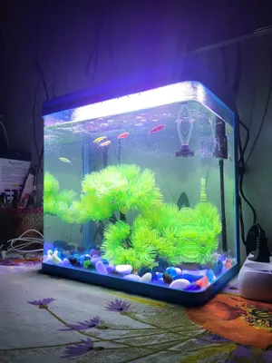Akvarium 1