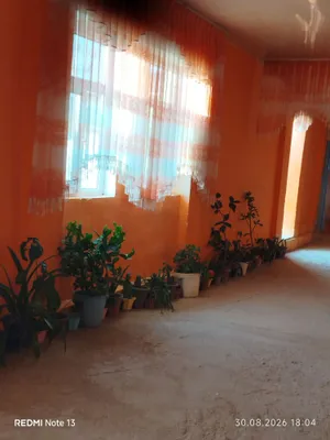Продаются цветы 1