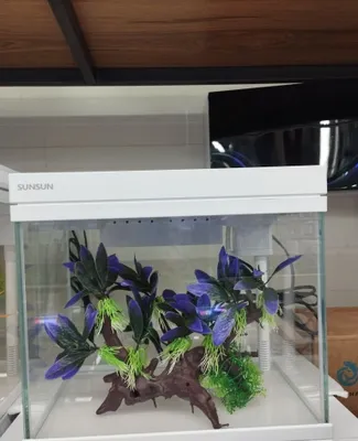 sunsun premium akvarium 1