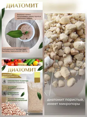 Диатомит