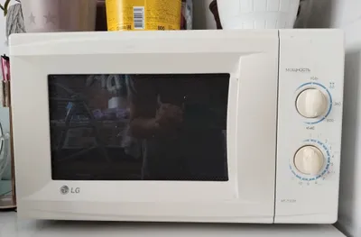 Микроволновая печь LG