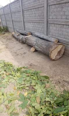Mebelga yonğoq sotiladi 1