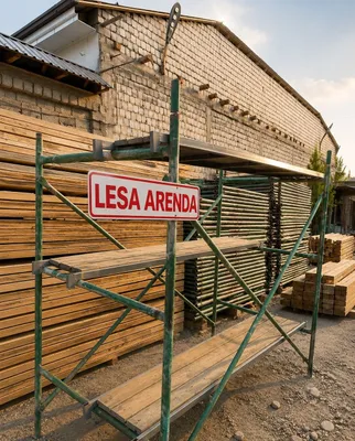 Lesa arenda 24/7 dastavka bor