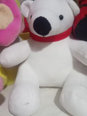 ayiqcha Rossiya mahsuloti