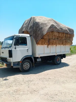 Самосвал Isuzu Otayol 1