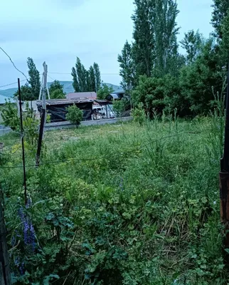 Продаётся дачный двор с домом 1