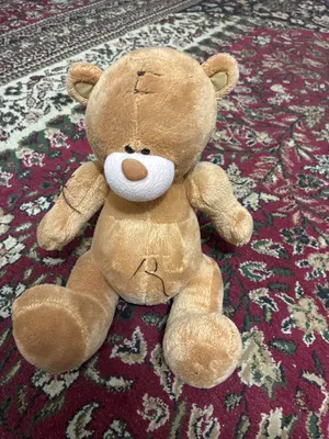 Teddy
