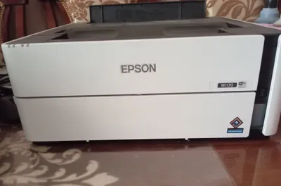 Epson m 1170 ikki tomonlama pechat qiladi 1