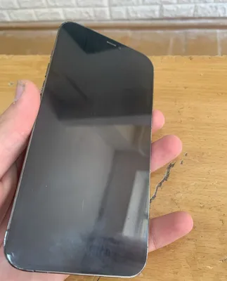 iPhone 12 Pro Max 1