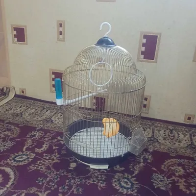 продаётся клетка для птиц 1