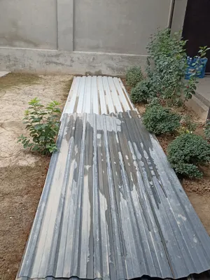 Tomga tunka 1