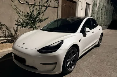 Tesla Model 3 Standard Range Plus 1