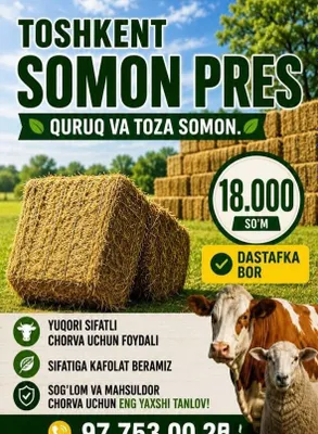 Сифатли маййин сомон,йерёнгок беда. Даставка бор