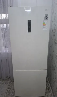 LG muzlatgichi GC-B569PECZ 1