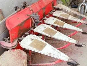Jatka bugdoy govsh sholi oradon
