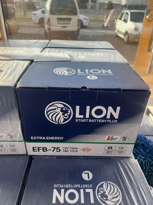 Lion 75A EFB AGM start stop li moshinala uchun 1