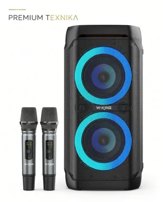 беспроводная вечериночная аудиосистема W-King T11+