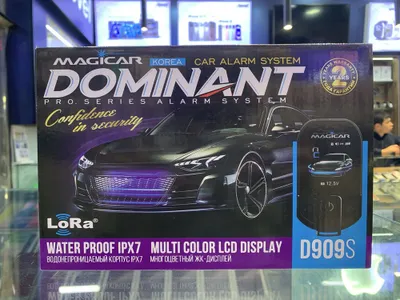 Magic car Daminat 909 1
