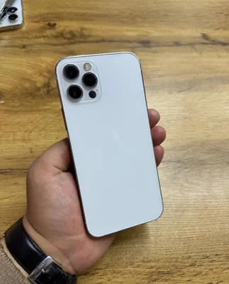 12 pro 1