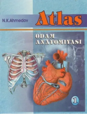Anatomiya kitob ishlatilgan 1, 2 marta holati yaxshi