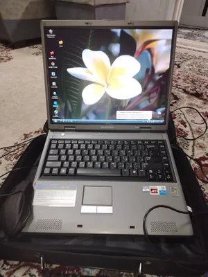 samsung p29 noutbook 1