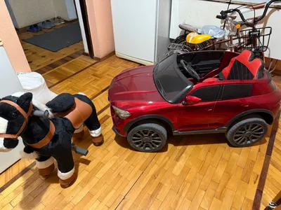 Конь на пружине 1