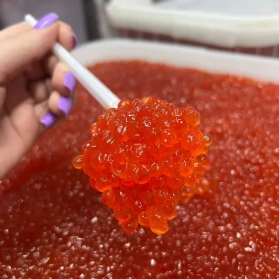 Kamchatka kizhuch ikrasi 1