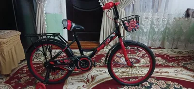 «Berkut» velosipedi shoshilinch sotiladi 1